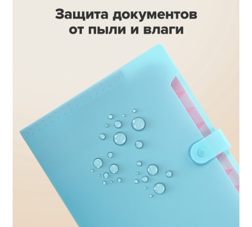 Папка-органайзер на кнопке 12 отделений, BRAUBERG 
