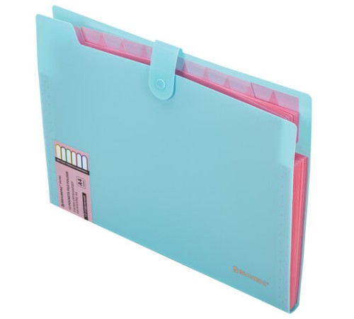 Папка-органайзер на кнопке 12 отделений, BRAUBERG 