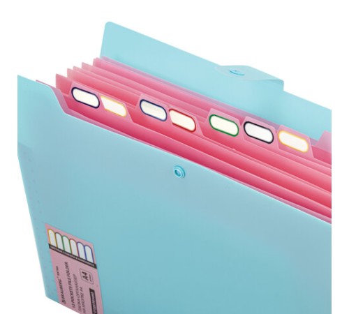 Папка-органайзер на кнопке 12 отделений, BRAUBERG 