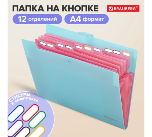 Папка-органайзер на кнопке 12 отделений, BRAUBERG 