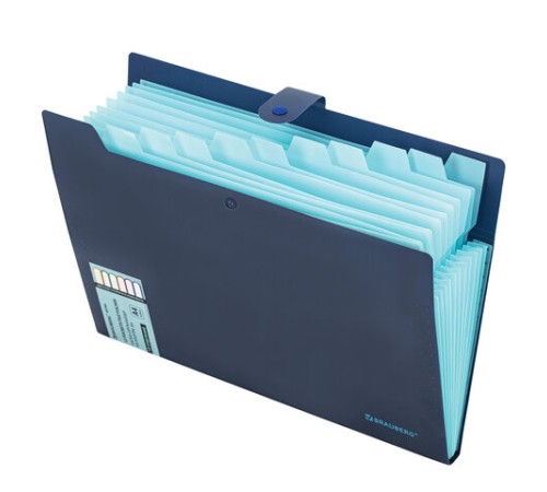 Папка-органайзер на кнопке 12 отделений, BRAUBERG 