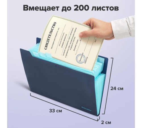 Папка-органайзер на кнопке 12 отделений, BRAUBERG 