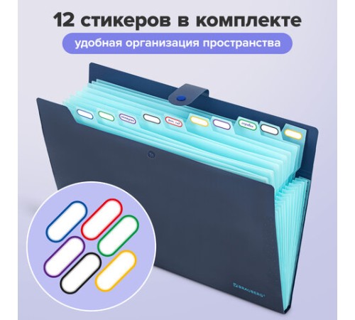 Папка-органайзер на кнопке 12 отделений, BRAUBERG 