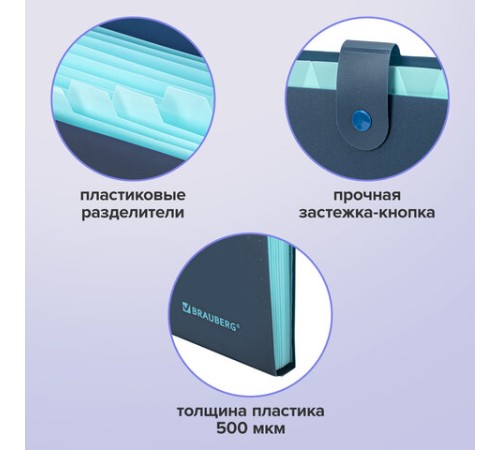 Папка-органайзер на кнопке 12 отделений, BRAUBERG 