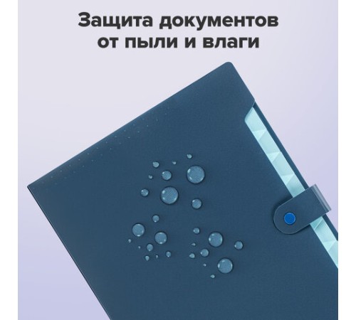 Папка-органайзер на кнопке 12 отделений, BRAUBERG 
