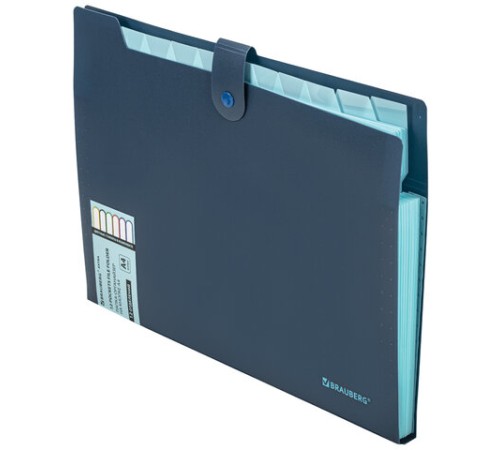 Папка-органайзер на кнопке 12 отделений, BRAUBERG 