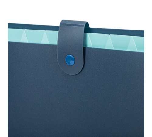 Папка-органайзер на кнопке 12 отделений, BRAUBERG 