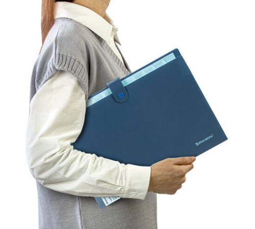 Папка-органайзер на кнопке 12 отделений, BRAUBERG 