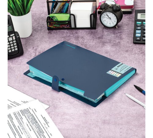 Папка-органайзер на кнопке 12 отделений, BRAUBERG 