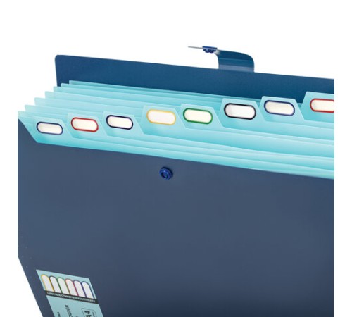 Папка-органайзер на кнопке 12 отделений, BRAUBERG 