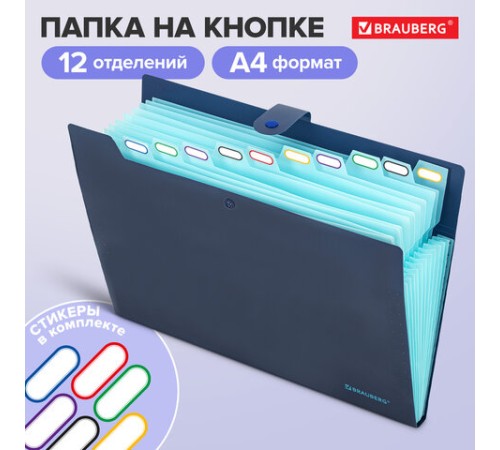 Папка-органайзер на кнопке 12 отделений, BRAUBERG 
