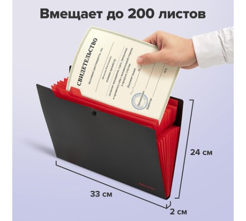 Папка-органайзер на кнопке 12 отделений, BRAUBERG 
