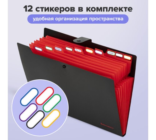Папка-органайзер на кнопке 12 отделений, BRAUBERG 