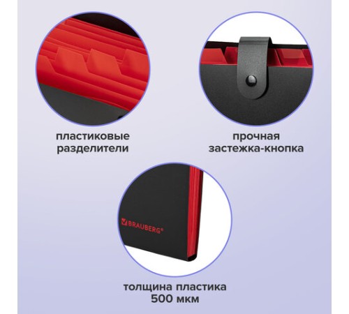 Папка-органайзер на кнопке 12 отделений, BRAUBERG 