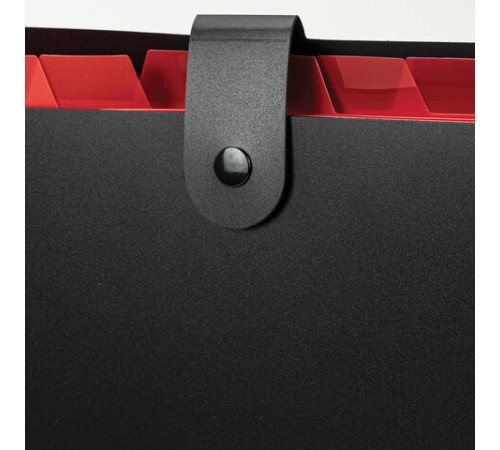 Папка-органайзер на кнопке 12 отделений, BRAUBERG 