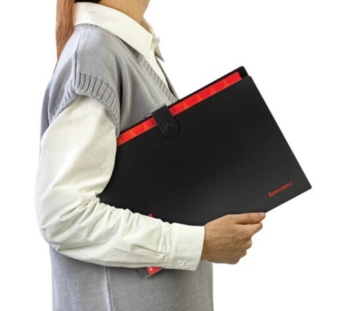 Папка-органайзер на кнопке 12 отделений, BRAUBERG 