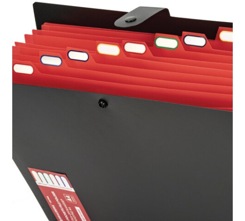 Папка-органайзер на кнопке 12 отделений, BRAUBERG 