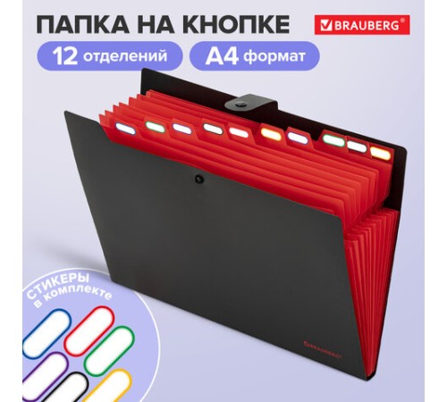 Папка-органайзер на кнопке 12 отделений, BRAUBERG 