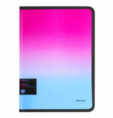 Папка объемная на молнии пластиковая BRAUBERG 