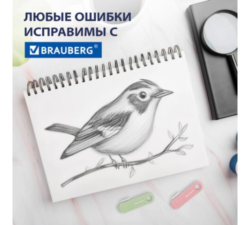 Ластики выдвижные BRAUBERG 