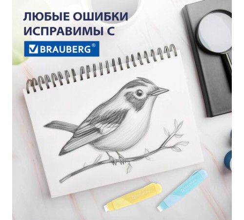 Ластики выдвижные BRAUBERG 
