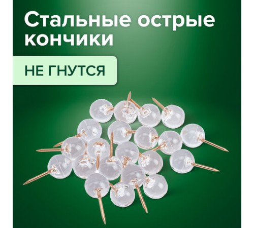 Силовые кнопки-гвоздики BRAUBERG CLEAR & GOLD, прозрачные с золотистым (шарики), 100 штук, 11 мм, 272760