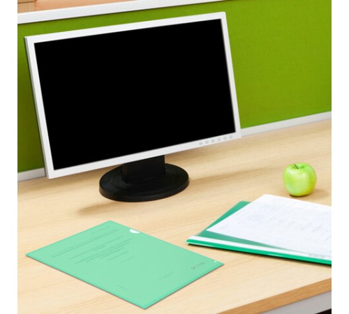 Папка-уголок жесткая, непрозрачная, А4, цвет мятный, 0,15 мм, BRAUBERG PASTEL, 272892