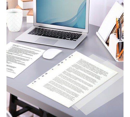 Папки-файлы перфорированные А4 ERICH KRAUSE 