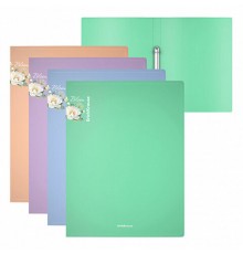 Папка на 2 кольцах ERICH KRAUSE 