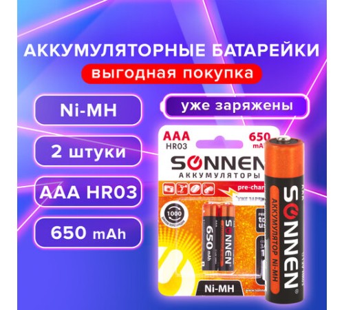 Батарейки аккумуляторные Ni-Mh мизинчиковые КОМПЛЕКТ 2 шт., AAA (HR03) 650 mAh, SONNEN, 454236 Батарейки аккумуляторные Ni-Mh мизинчиковые КОМПЛЕКТ 2 шт., AAA (HR03) 650 mAh, SONNEN, 454236