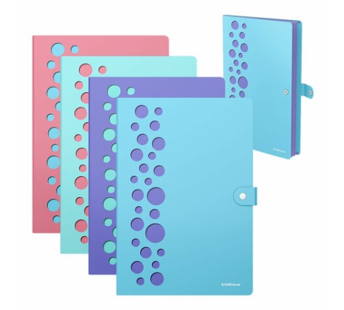 Папка-органайзер на кнопке 4 отделения, ERICH KRAUSE 