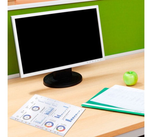 Папки-файлы перфорированные А4 BRAUBERG 