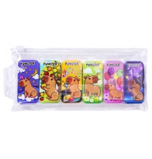 Корректирующая лента FUNSTER (ФАНСТЕР) 