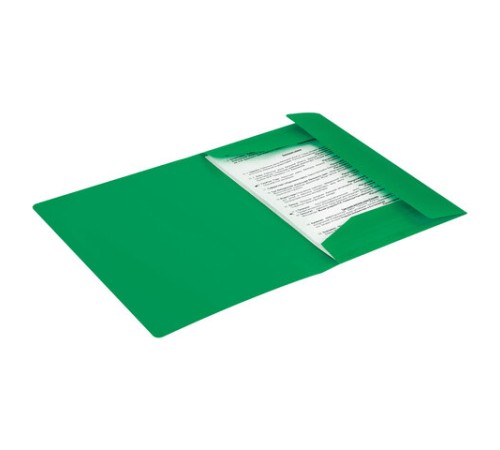 Папка на резинках А4 BRAUBERG PIXEL, темно-зеленая, до 300 листов, 0,5 мм, 273040