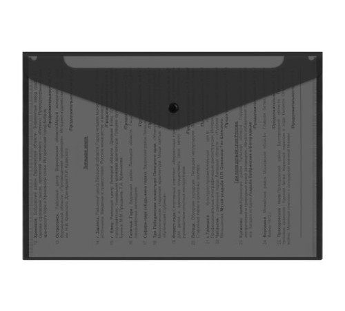 Папка-конверт с кнопкой прозрачная А4, BRAUBERG 