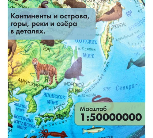 Глобус зоогеографический GLOBEN "Классик Евро", 25 см, с подсветкой, детский, Ке012500270 Глобус зоогеографический GLOBEN "Классик Евро", 25 см, с подсветкой, детский, Ке012500270