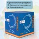 Глобус зоогеографический GLOBEN "Классик Евро", 25 см, с подсветкой, детский, Ке012500270
