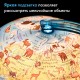 Глобус зоогеографический GLOBEN "Классик Евро", 25 см, с подсветкой, детский, Ке012500270