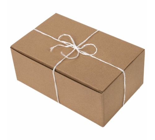 Шпагат полипропиленовый, длина 625 м, диаметр 2 мм, линейная плотность 1600 текс, BRAUBERG, 600117