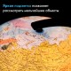 Глобус интерактивный + очки VR физический / политический Globen, 25 см, с подсветкой, INT12500284