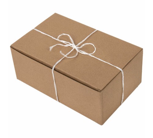 Шпагат полипропиленовый, длина 500 м, диаметр 1,6 мм, линейная плотность 1000 текс, BRAUBERG, 605007