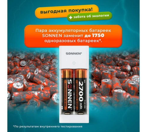 Зарядное устройство с аккумуляторами 4 шт. (2+2) AA+AAA (HR6+HR03), 2700 mAh + 1000 mAh, SONNEN (СОНЕН) BC2, 455005 Зарядное устройство с аккумуляторами 4 шт. (2+2) AA+AAA (HR6+HR03), 2700 mAh + 1000 mAh, SONNEN (СОНЕН) BC2, 455005