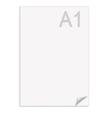 Ватман формат А1 (610х860 мм) ГОЗНАК Краснокамск, плотность 200 г/м2, КОМПЛЕКТ 10 листов, BRAUBERG, 880776