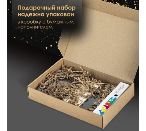 Ручка шариковая PARKER 