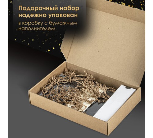 Ручка перьевая PARKER 