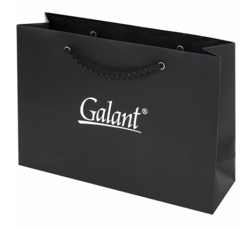 Ручка перьевая GALANT Versus, корпус золотистый, ежедневник недатированный А5 черный, пакет, 880906