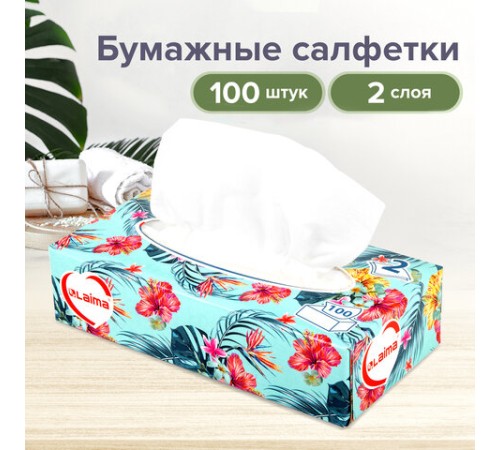 Салфетки косметические 100 шт. в картонном боксе 2-слойные, LAIMA 