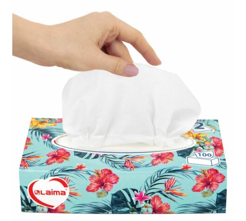 Салфетки косметические 100 шт. в картонном боксе 2-слойные, LAIMA 