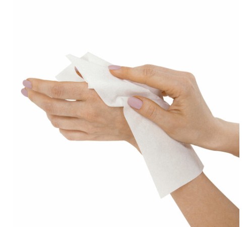 Салфетки косметические 100 шт. в картонном боксе 2-слойные, LAIMA 