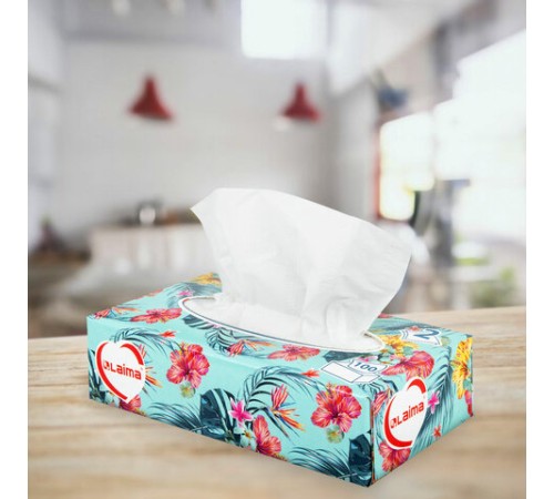 Салфетки косметические 100 шт. в картонном боксе 2-слойные, LAIMA 